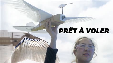 Ce Pigeon Robot Pourrait Enfin Nous Apprendre à Voler Comme Les Oiseau