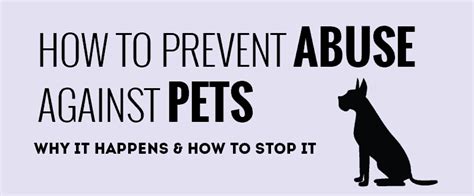 Pet Abuse Infographic How To Prevent Animal Abuse