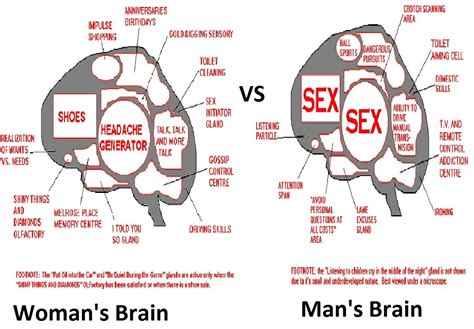 Man Vs Woman Brain Some Jokes Jokes Men Vs Women