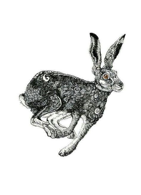 Pin By April Hensley On Babbity Rabbity Hare Illustration Hare Print