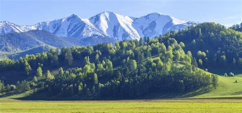 Premium Photo Green Forests And Meadows Snow Capped Peaks And Blue Sky