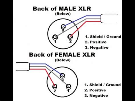 Xlr Connector Wiring Diagram