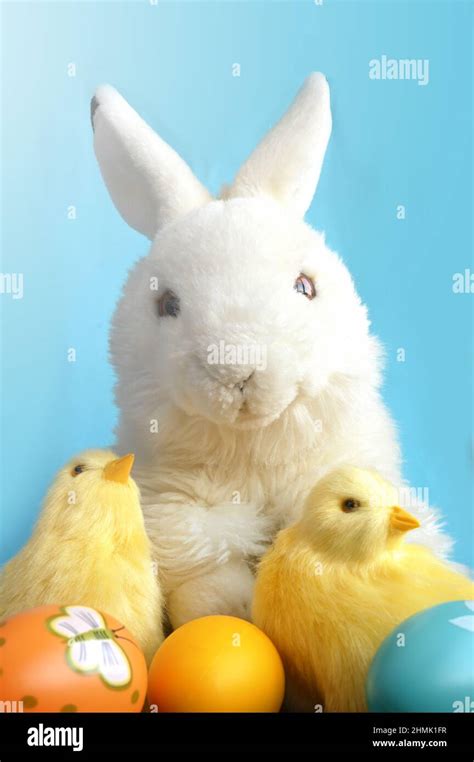 Easter Bunny Rabbit With Painted Eggs And Chick On Blue Background