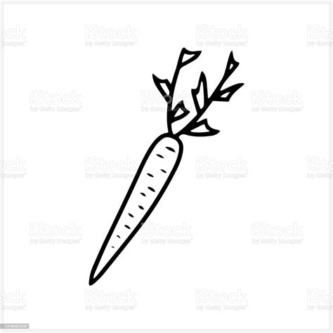 Doodle Carrots Icon Isolated Hand Drawn Art Line Sketch Vector Stock