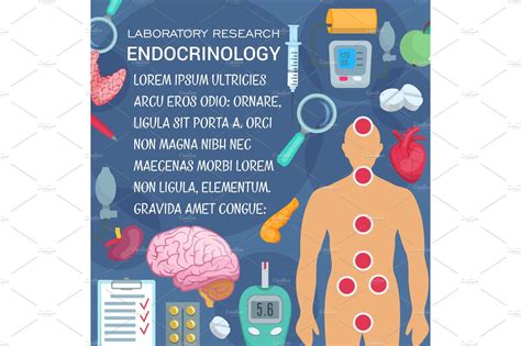 endocrinology medical poster healthcare illustrations ~ creative market