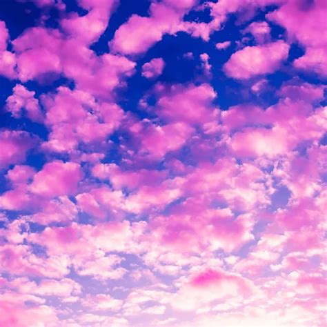Cielo Con Nubes Rosadas Fotos De Stock Imágenes De Cielo Con Nubes