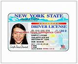 Search Drivers License Images