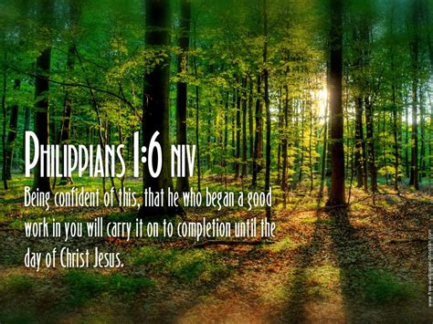 Philippians 1 6 Bible Gods Love Word Of God