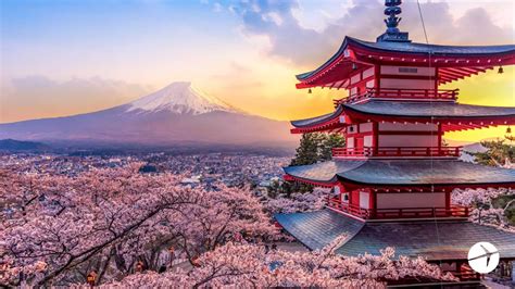 15 Zoom Backgrounds To Put You In The Moment Expedia Viewfinder Tokyo