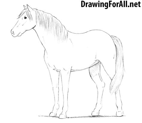 Horse Drawings Easy Step By Step How To Draw A Realistic Horse Part