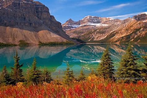 15 Of The Best Stock Photo Images Of The Stunning Bow Lake In Alberta
