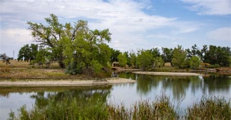 They act like giant sponges or reservoirs. What Are Wetlands: List of New Wetlands In India 2019
