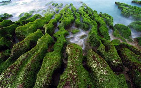 1129458 Landscape Forest Sea Water Rock Nature Grass Long