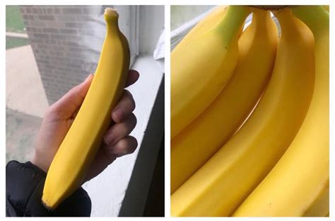 I Bought Some Suspiciously Perfect Bananas Yesterday Mildlyinteresting