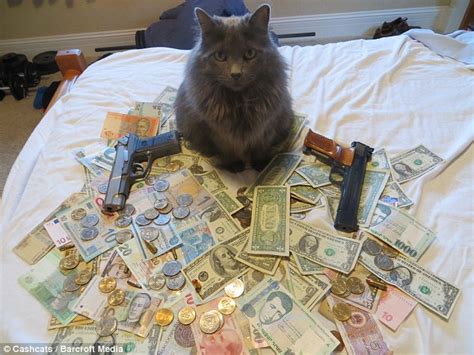 Worlds Wealthiest Cats Pose On Site Featuring Top One Purrcent Of