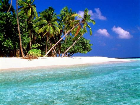 Tapeta Na Komputer Malediwy Kraje Tropikalne Przyroda Darmowe