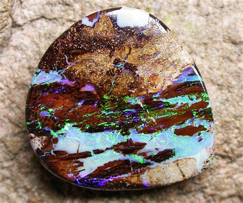 Double Sided Boulder Wood Fossil Opal Opalized Wood Wood Replacement