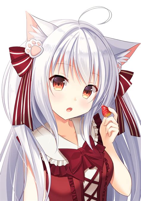 cat girl anime my second world pinterest cats anime and year old