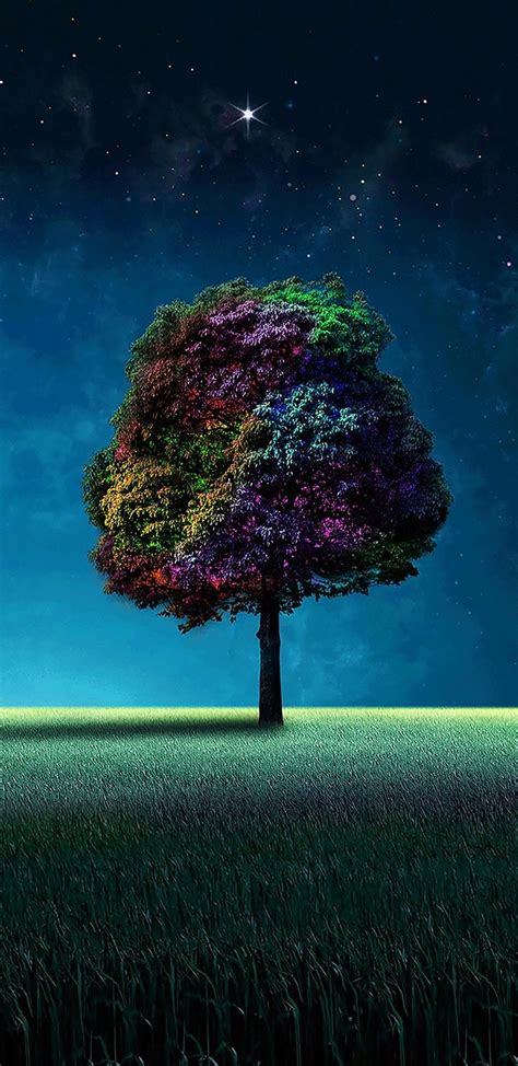 Colorful Tree Wallpaper 720x1480