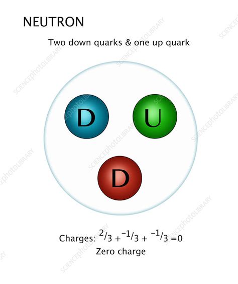 Neutron Quarks Illustration Stock Image C0308242 Science Photo