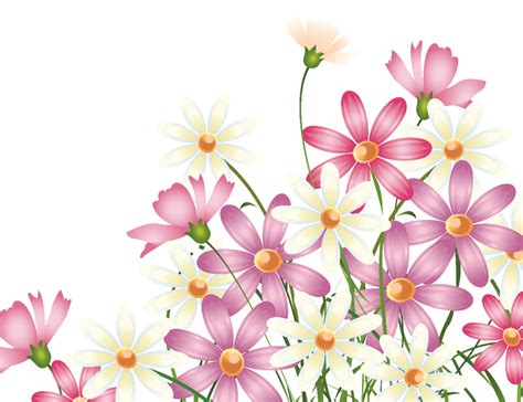 Последние твиты от cilia flores (@conciliaflores). Flores Ilustraciones II