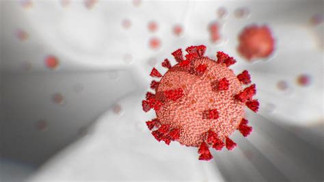 Coronavirus Videos Watch The Latest On Covid 19 Cnn
