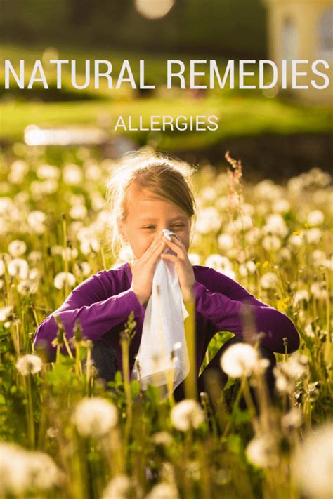 Natural Spring Allergy Remedies That Really Work The Domestic Life