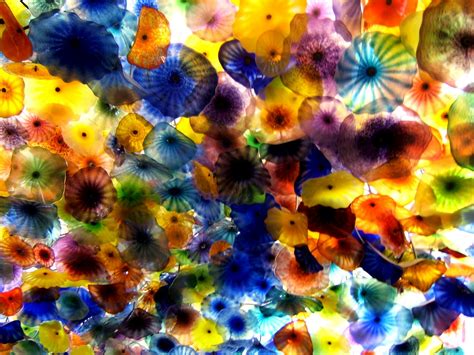 Dale chihuly ceiling installation, san antonio art museum. chihuly lobby ceiling | The ceiling of the Bellagio ...