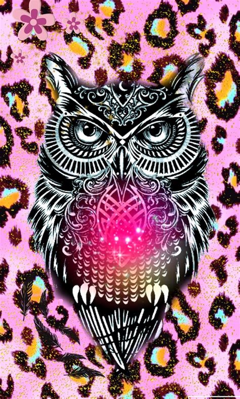 Cute Owls Wallpapers Wallpaper Cave