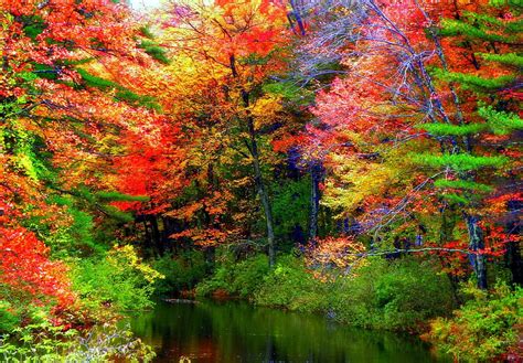 Autumn River Colorful Graphy Attractions In Dreams Fall Colors