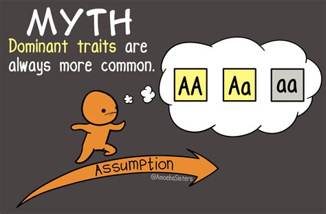 Join the amoeba sisters as they discuss the terms gene and allele in context of a. Did you know that dominant traits are not always the most ...