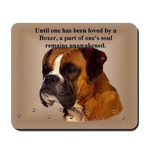 Awesome Boxer Dogs Information Is Available On Our Internet Site