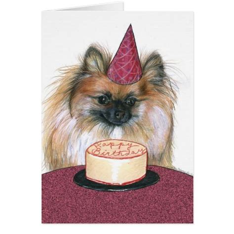 Pomeranian Happy Birthday Card Zazzle