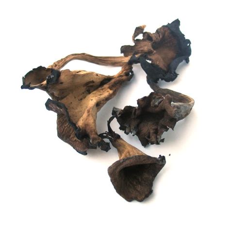 Dried Black Trumpet Mushrooms