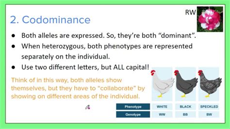 Genetics Lesson Three Incomplete And Codominance Youtube