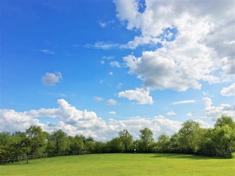 무료 이미지 경치 나무 자연 잔디 수평선 추상 구름 구조 하늘 목재 들 목초지 대초원 햇빛 여름