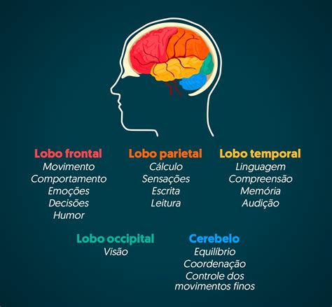 Sintomas De Cancer No Cerebro