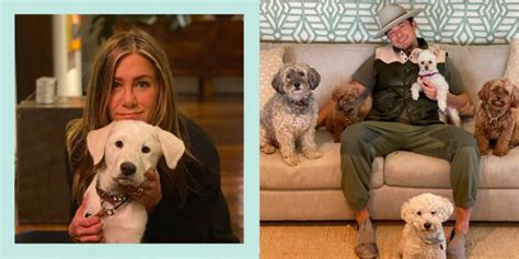 27 Cute Celebrity Dogs Celebrities And Their Dogs