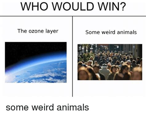 Who Would Win The Ozone Layer Some Weird Animals Some Weird Animals