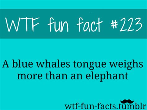 wtf fun facts 223 wtf fun facts pinterest wtf fun facts weird facts and random facts