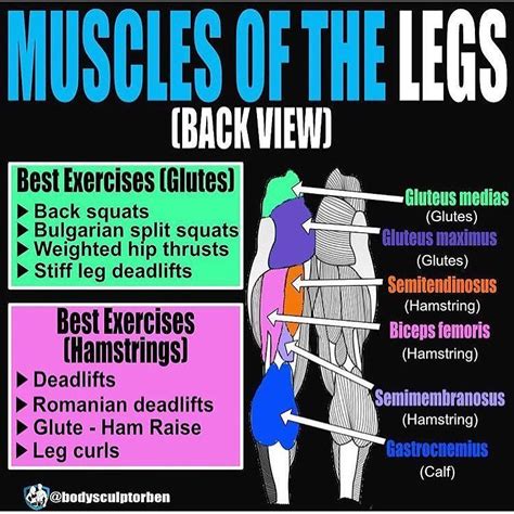 How often you need to do glute workout | women's healthsee all results for this questionhow to kegel simple beginners guide?how to kegel simple beginners guide?how to start your kegel. Pin on Hammies