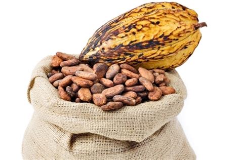 Barry Callebaut Targets Authenticity With Single Origin Cocoa