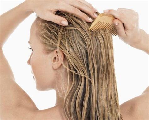15 علاج لتقوية بصيلات الشعر جنتنا