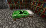 Pictures of Cat Beds Minecraft
