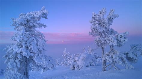 Have You Ever Visited Finnish Lapland Without This Arctic Cold Climate