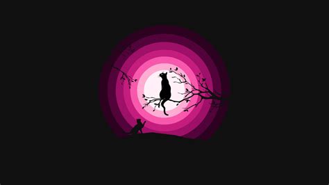 Cats 4k Wallpaper Moon Pink Silhouette Black Background Blackdark