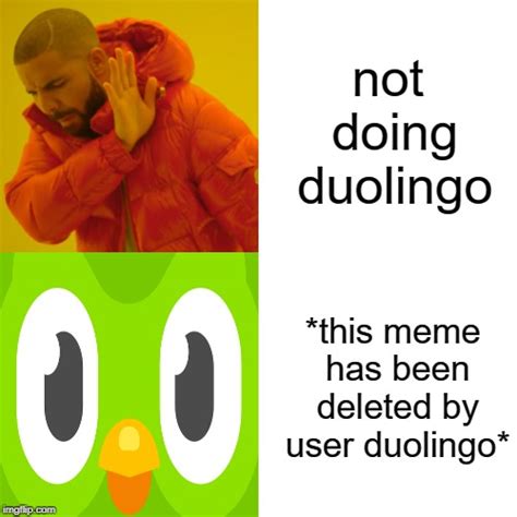 Duolingo Memes And S Imgflip