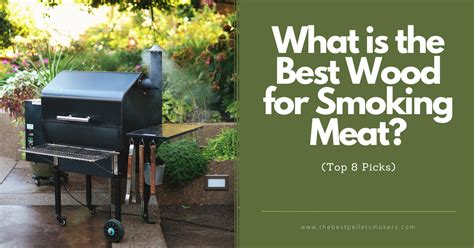 What Is The Best Wood For Smoking Meat Top 8 Picks