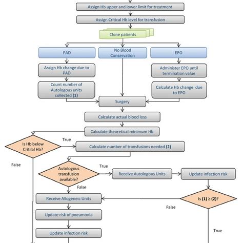 Algorithm Of Patient Creation And Of Modeled Blood Transfusion