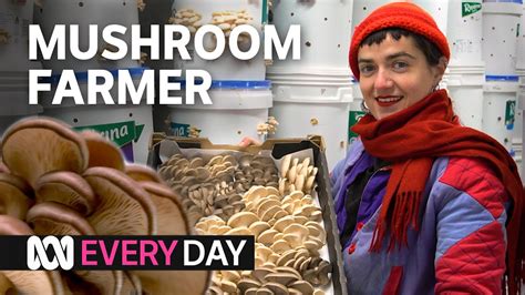 This Farm Grows 80kg Of Mushrooms A Week 🍄 Everyday Abc Australia